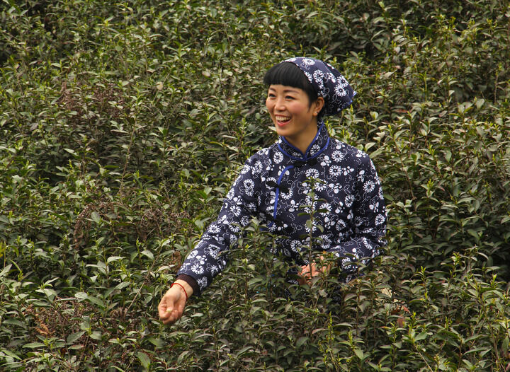 侦探帽收藏